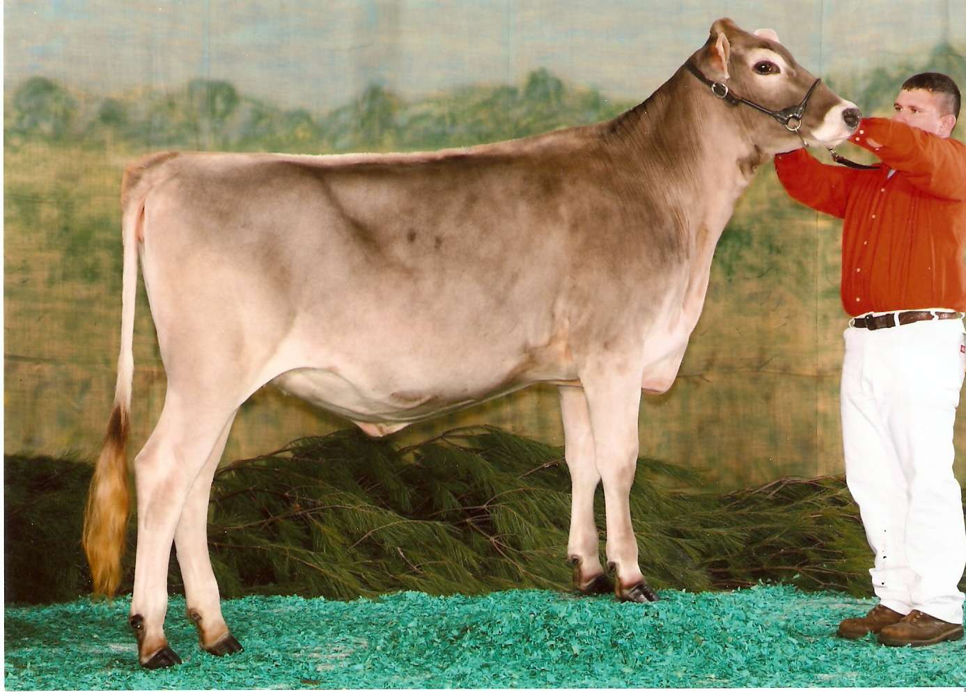 IN%20State%20Fair%204-H%20Jr%20Champion%