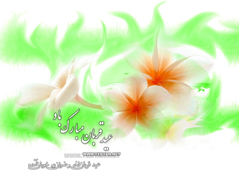 عید قربان