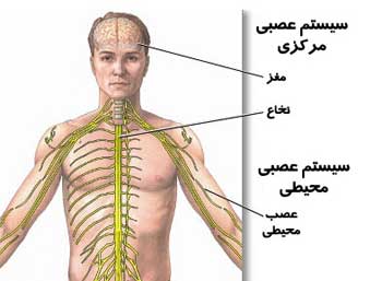 بیماری بری بری وراه درمان 