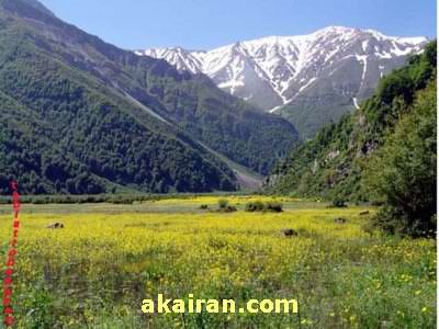 درشهسوارکالای چوب وخواب کجاس 