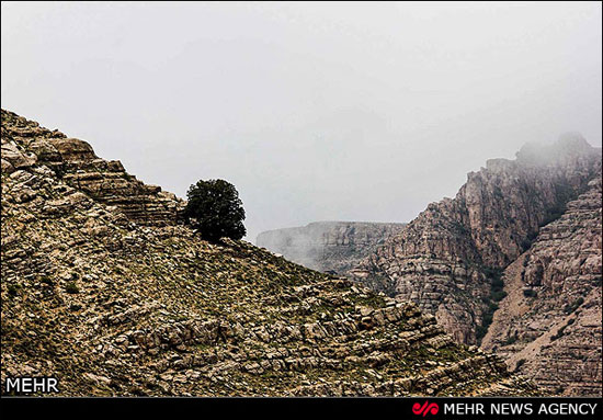 عکس: زیبایی‌های روستای اسفیدان خراسان خراسان,روستای اسفیدان,عکس,شهرهای خراسان شمالی - دیدنی های خراسان شمالی