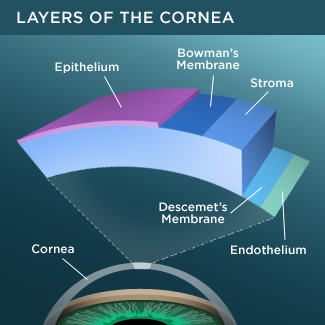 cornea-layers-325x325.jpg