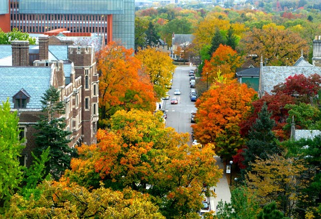 Michigan Falls زيباترين پاييز دنيا