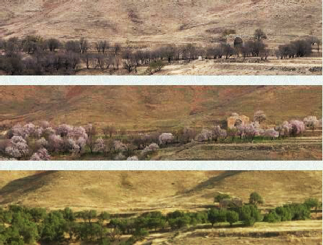 قدیمی ترین روستای قم 