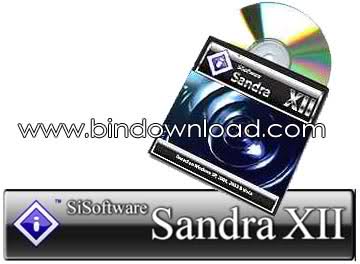 SiSoftware Sandra Pro Business XII 2008