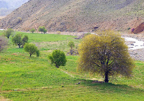 مناظرروستای طینوج قم 