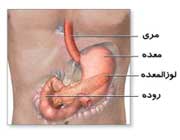 پانکراتین در بارداری , قرص پانکراتین برای چیه , قرص پانکراتیت 