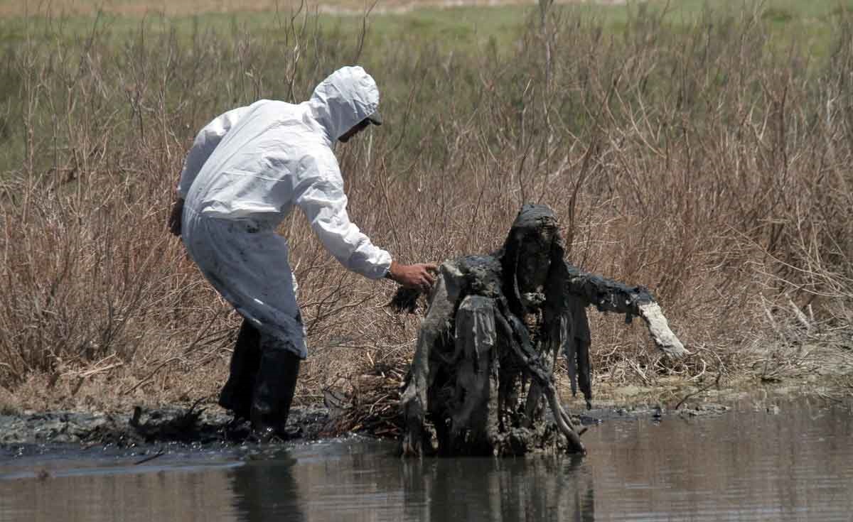 رقابت مجسمه‌های عجیب در نمکزار نهبندان