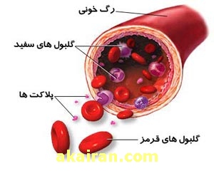 منعقد کننده خون انسان 