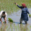 آموزش اصولی روش تولید کود آلی به زنان روستای شکاکم 