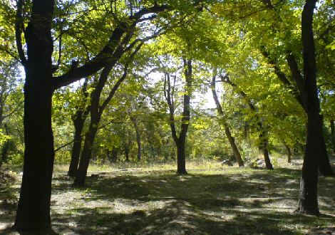 روستای نویس ,دیدنی های روستای نویس ,جاذبه های گردشگری روستای نویس ,شهرهای استان قم- دیدنی های استان قم