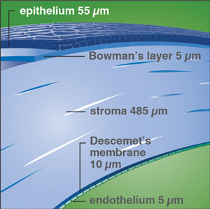 CLS-SE_A15_Fig02.jpg