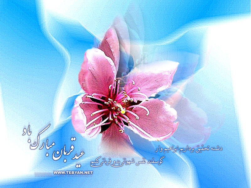 عید قربان