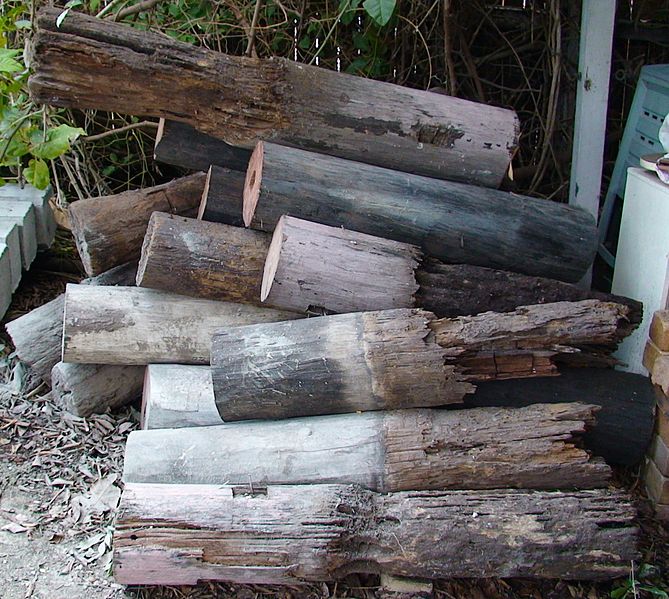 File:House stumps eaten by termites.jpg