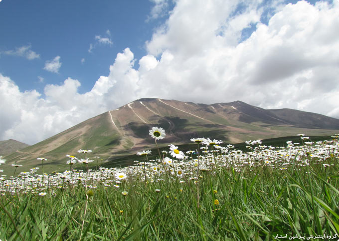 گروه اینترنتی پرشین استار | www.Persian-Star.org