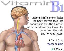 ویتامین b1 در چیست 
