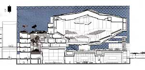 3.Longitudinal-Section.jpg