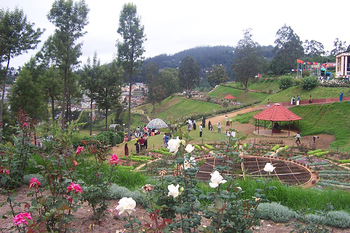 Ooty-gardens.jpg