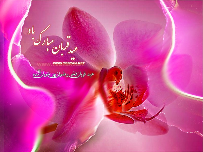 عید قربان