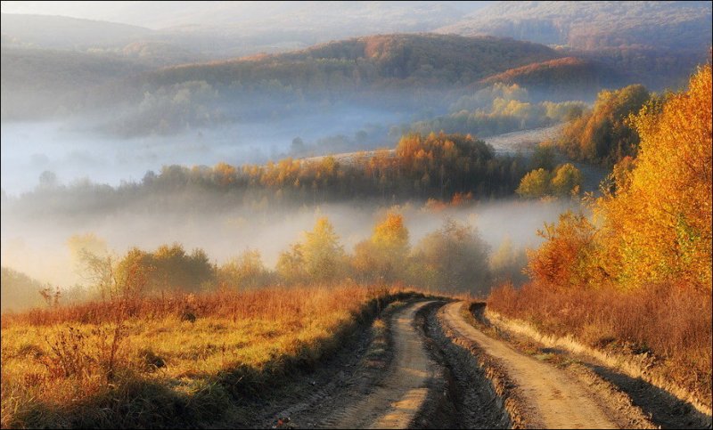 زیبایی وصف ناپذیر فصل پاییز