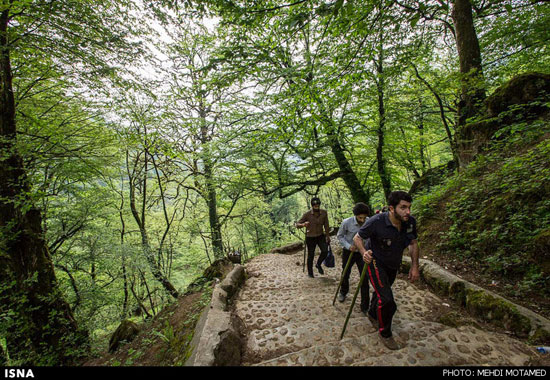 عکس, طبیعت قلعه رودخان در گیلان, قلعه رودخان,عکس های طبیعت