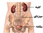 ,مقالات پزشکی و بهداشتی،توصیه های پزشکی ، بهداشت