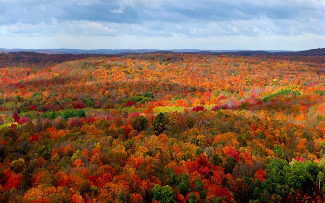 Michigan Falls زيباترين پاييز دنيا