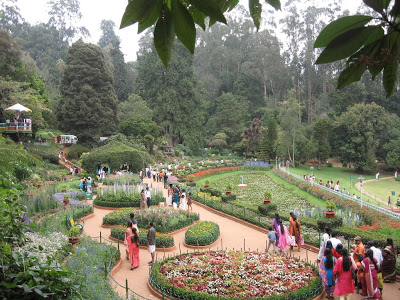 OotyBotanicalGardens.JPG