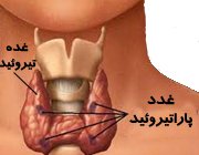 آیا هورمون پاراتیرویید باعث افزایش علایم هانتینگتون میشود 