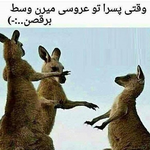 ,مجموعه تصاویر و عکس خنده دار جدید 2016,تصاویر و عکس خنده دار,عکس خنده دار,[categoriy]