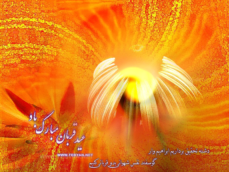 عید قربان