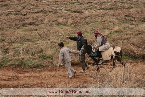 بر فراز قله گلستان کوه - محمد گائینی