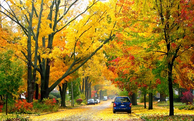 Michigan Falls زيباترين پاييز دنيا