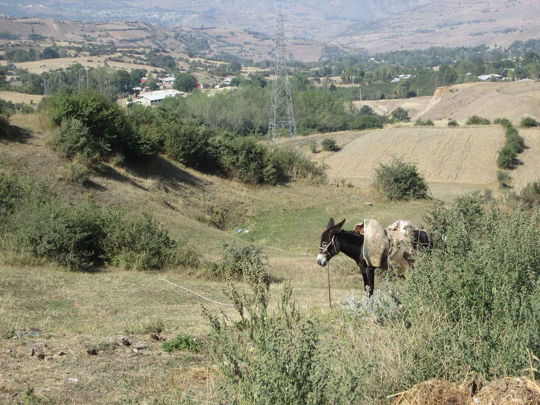 تصاویر زیبای عمارلو